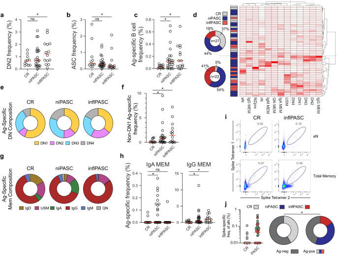 Fig. 4: Altered B-cell responses in inflPASC patients.
