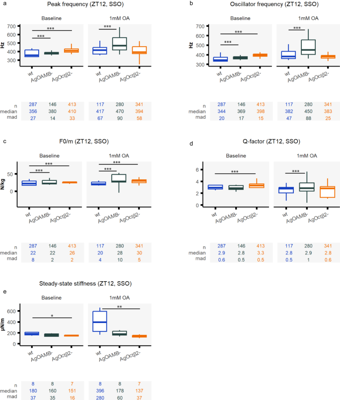 Fig. 7: Different phenotypes in the auditory stimulated responses of octopamine receptor mutants upon injecting octopamine.