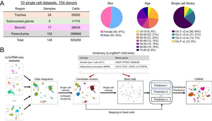 Fig. 1: Data collection and the guided single-cell reference (CellRef) construction pipeline.