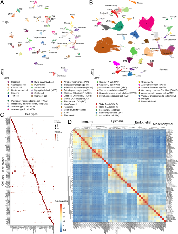 Fig. 2: The construction of LungMAP Human Lung CellRef.