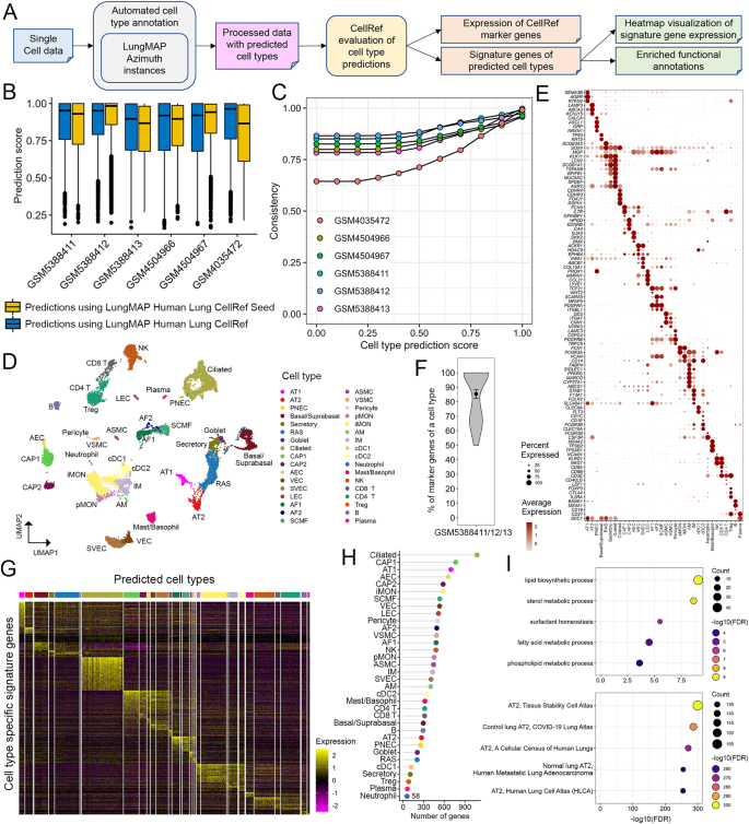 Fig. 5: Cell type annotation and evaluation using the LungMAP Human Lung CellRef.
