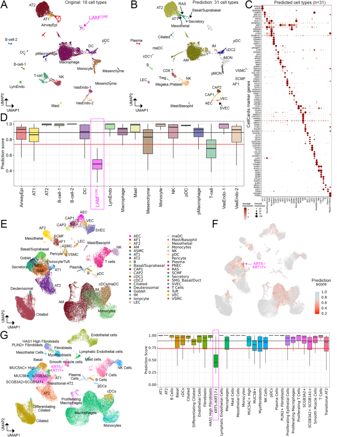 Fig. 6: Application of LungMAP Human Lung CellRef to disease lungs.