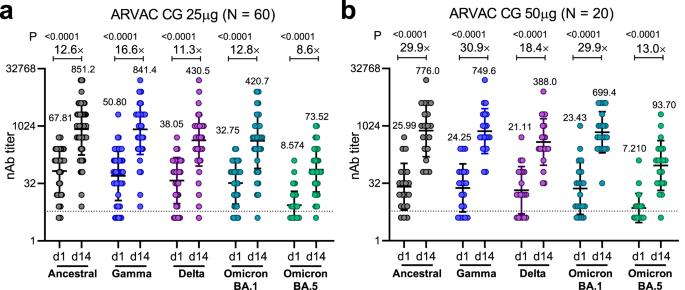 Fig. 3: Administration of ARVAC CG booster increases the nAb titers against the Ancestral, Gamma, Delta, Omicron BA.1 and Omicron BA.5 variants of SARS-CoV-2.