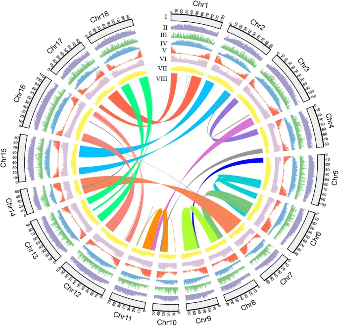 Genomic insight into domestication of rubber tree