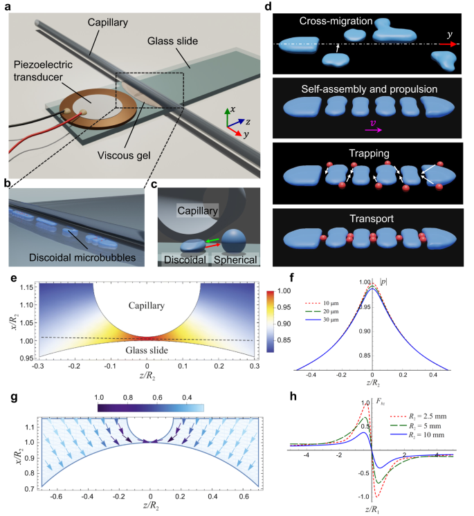 Fig. 1: Experimental setup and theoretical model.