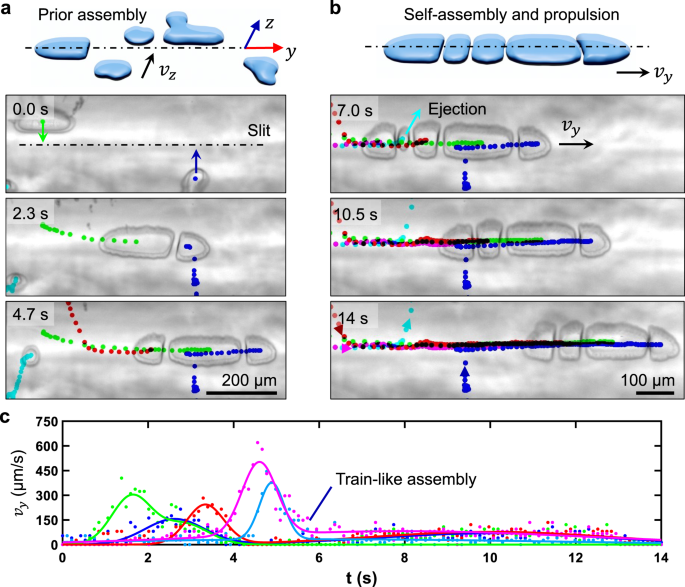 Fig. 3: Self-assembly and propulsion of ellipsoidal microbubbles.