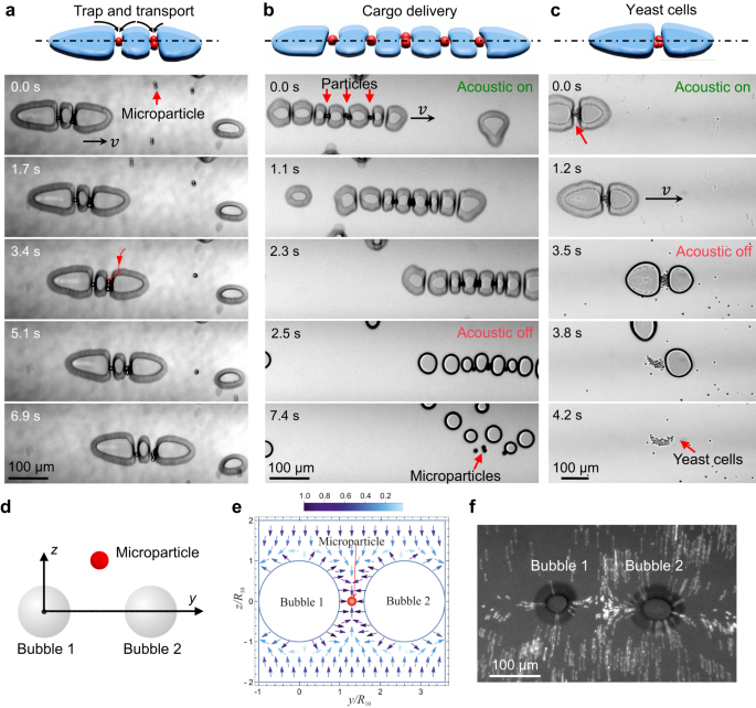 Fig. 4: Trapping and transport mechanism.