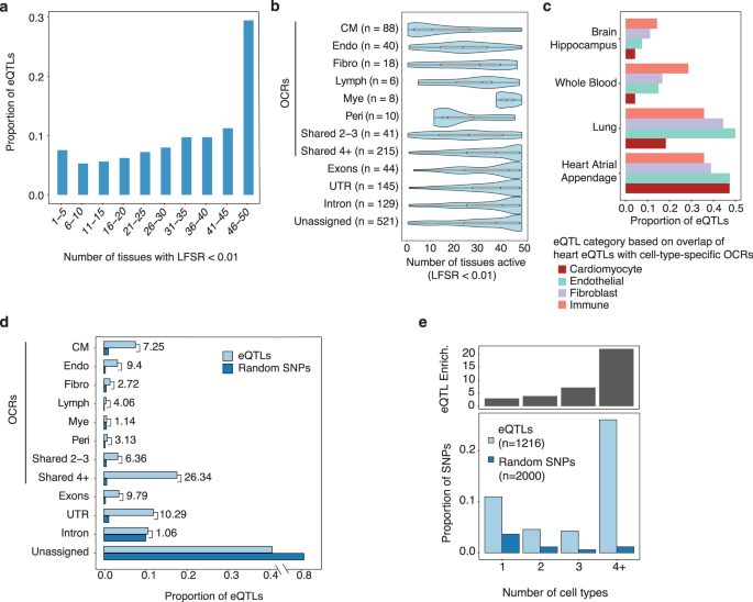 Fig. 7: Tissue-sharing patterns of heart (LV) eQTLs from GTEx.