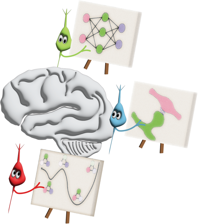 Fig. 1: Different disciplines have different perspectives of the brain.