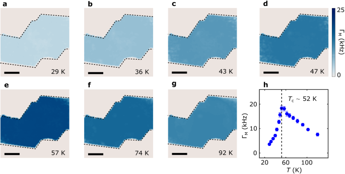 Fig. 4: Temperature dependence of spin fluctuations in twisted CrI3.