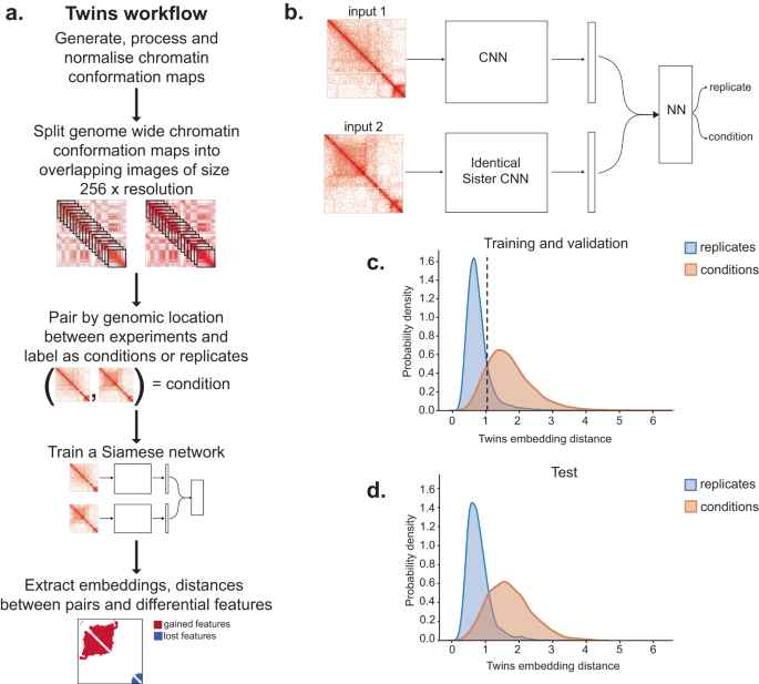 Fig. 1: A replicate-based method for deep learning from chromatin conformation contact maps.