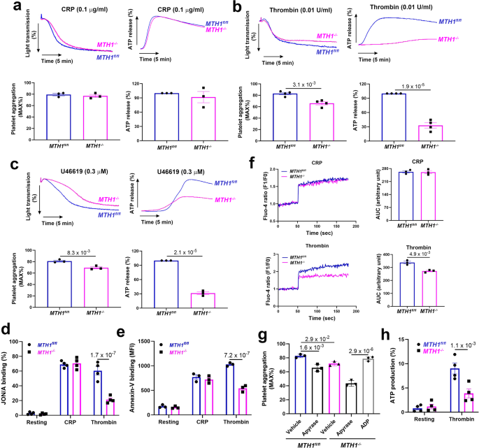 Fig. 2: MTH1 deficiency impairs GPCR-dependent platelet aggregation, granule secretion, calcium mobilization and mitochondrial ATP production.
