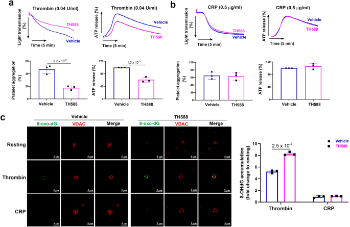 Fig. 6: Inhibition of human platelet MTH1 reduces thrombin-mediated platelet function.