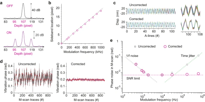 Ultra-wideband optical coherence elastography from acoustic to ultrasonic frequencies
