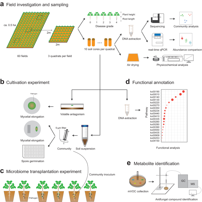 Fig. 1: An overview of the experimental workflow for this study.