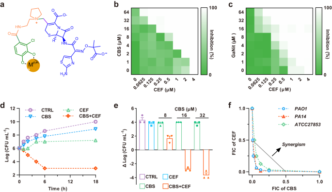 Fig. 1: Bismuth/gallium compounds have synergistic effects with cefiderocol against P. aeruginosa.