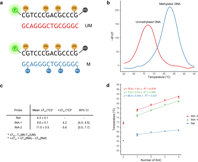 Fig. 4: Combined thermal effect of intercalating nucleic acid (INA®) and CpG methylations.