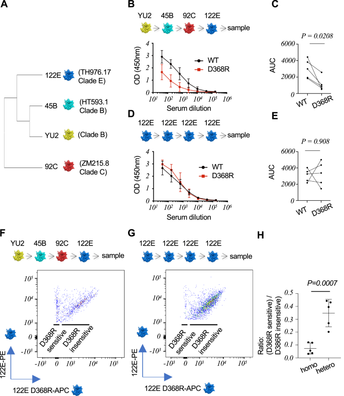 Fig. 1: Vaccine-elicitation of D386R-sensitive antibodies targeting the CD4bs in humanized mice.