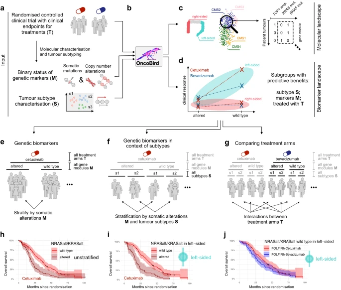 The Oncology Biomarker Discovery framework reveals cetuximab and bevacizumab response patterns in metastatic colorectal cancer