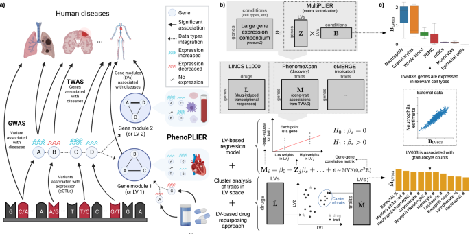 Fig. 1: Schematic of the PhenoPLIER framework.