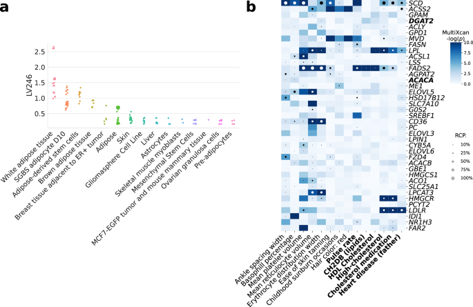 Fig. 2: Tissues and traits associated with a gene module related to lipid metabolism (LV246).