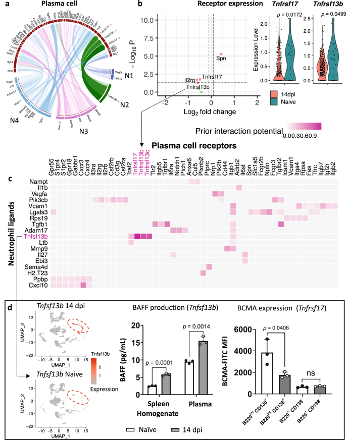 Fig. 6: Crosstalk analysis between neutrophils and PCs.