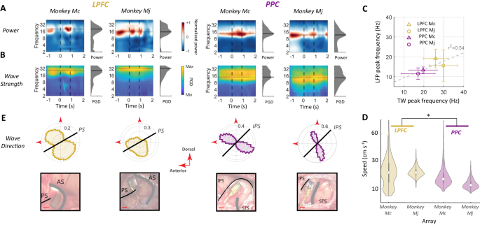 Fig. 3: TW properties.