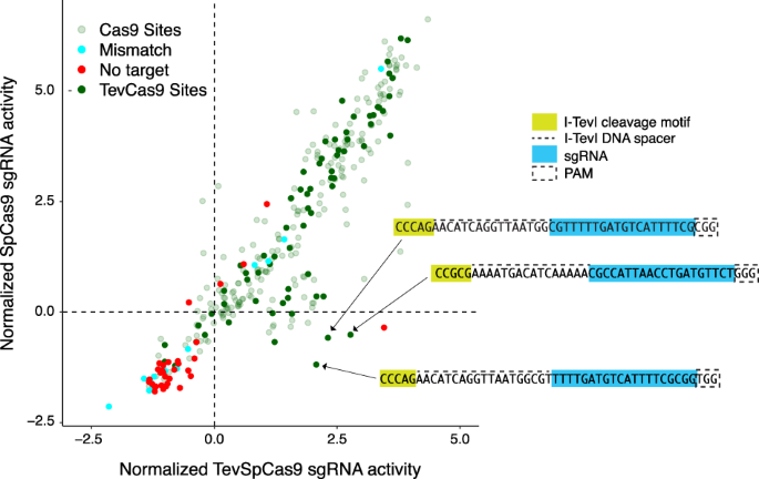 Fig. 5: Activity of TevSpCas9 versus SpCas9 with the pooled sgRNA library.