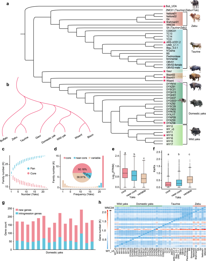 (PDF) Identification of de novo EP300 and PLAU variants in a