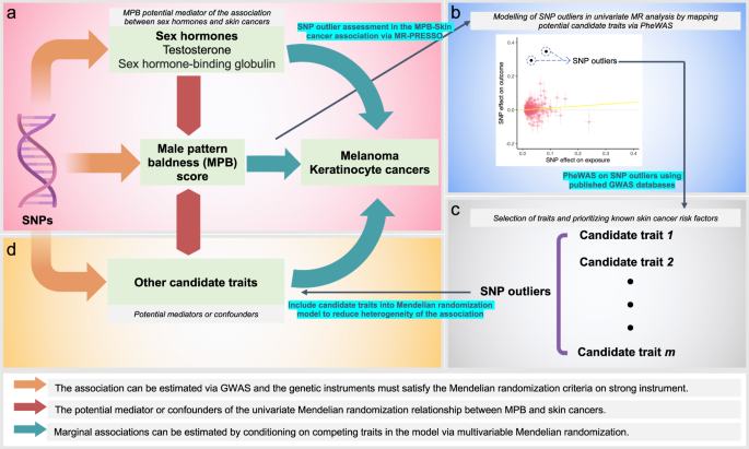 Fig. 1: Schematic diagram outlining the overall study approach of modelling genetic outliers via MVMR.
