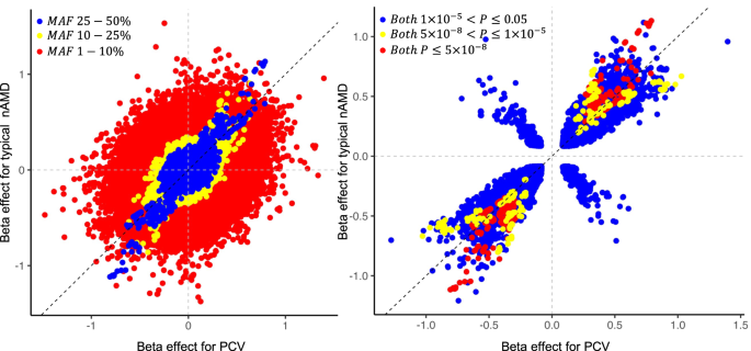 Fig. 2: Genetic effect size in PCV versus typical nAMD.
