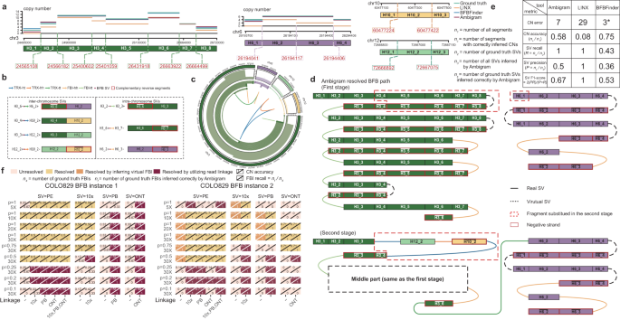 Deciphering complex breakage-fusion-bridge genome rearrangements with  Ambigram