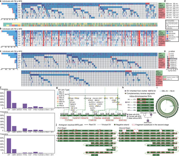 Fig. 6: BFB analysis in CHD probands, relatives, and controls.