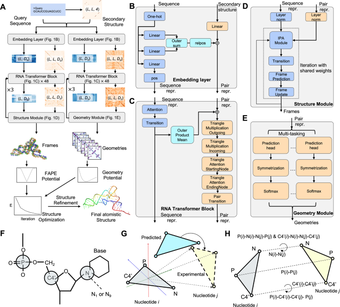 より正確なRNA立体構造予測のためのAIベースの新しいアプローチ(Novel AI-based approach for more accurate RNA 3D structure prediction)