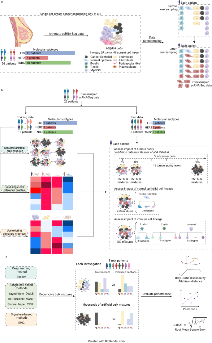 Fig. 1: Experimental design of the benchmarking study.