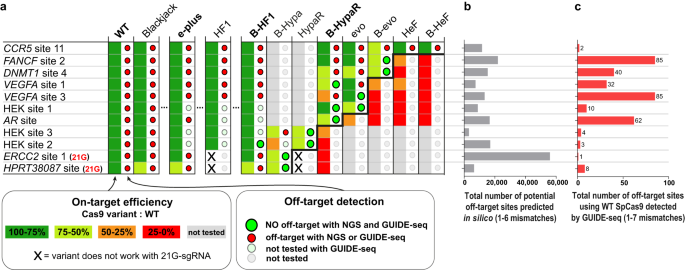 A cleavage rule for selection of increased-fidelity SpCas9 variants with  high efficiency and no detectable off-targets