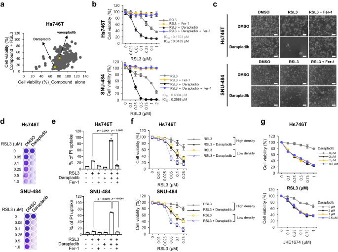 Fig. 1: Identification of darapladib as a ferroptosis-targeting drug by metabolic library screening.