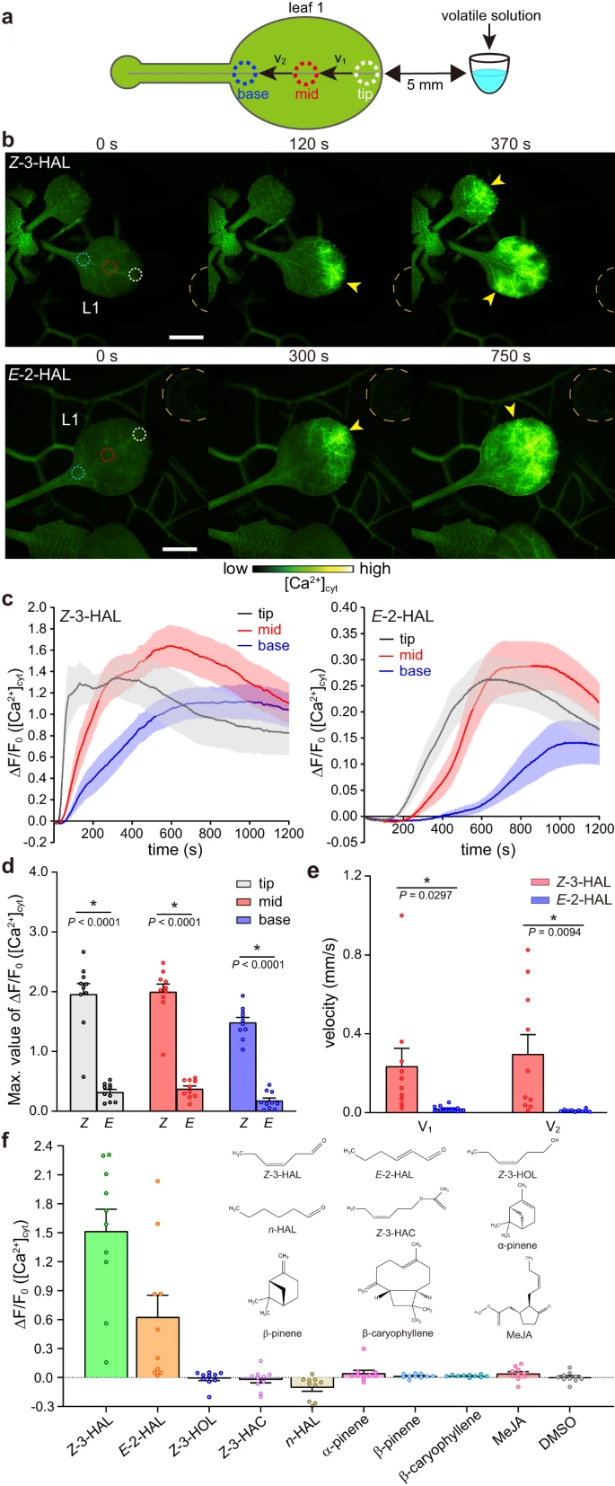 https://www.nature.com/articles/s41467-023-41589-9