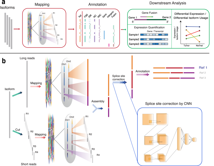 Fig. 1: TAGET workflow.