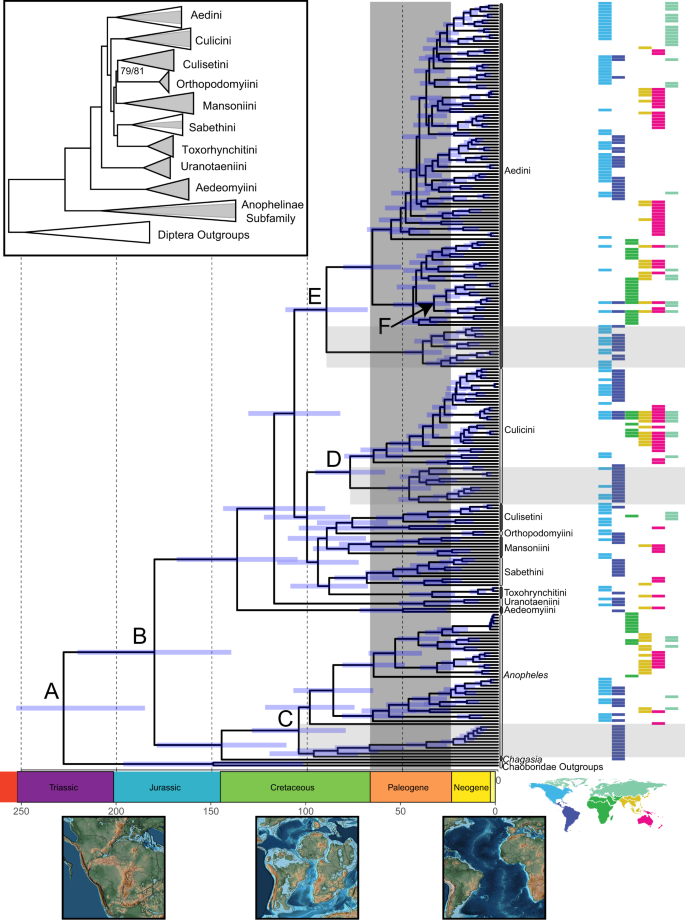 蚊とその宿主の進化を解明する研究(Study Elucidates Evolution of Mosquitoes and Their Hosts)