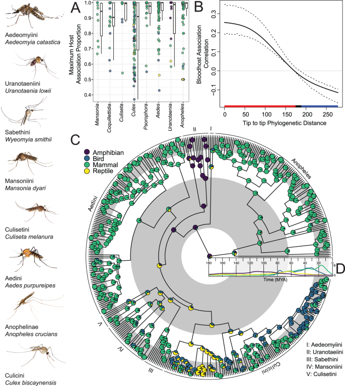 Fig. 2: Macroevolutionary analyses of host associations for blood-feeding in mosquitoes based on 293,308 bloodmeal records from 422 different mosquito species.