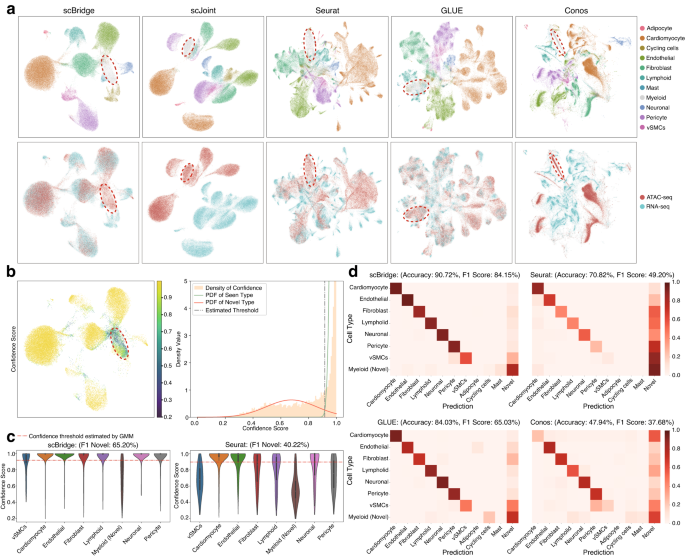 Fig. 4: Integration results on the human myocardial infarction data, where both RNA and ATAC omics have their unique cell types (adipocyte, cycling cells, and mast cells only exist in scRNA-seq data, and Myeloid cells only exist in scATAC-seq data).