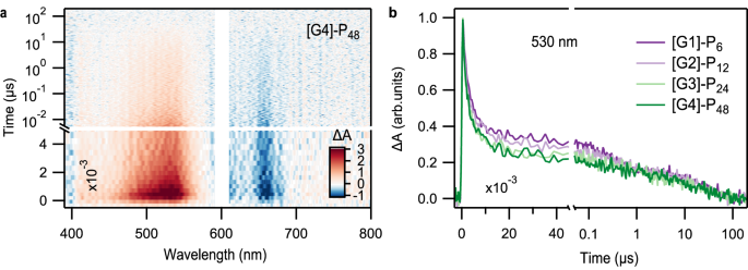 Fig. 4: Nanosecond transient absorption spectroscopy of pentacene dendrimers.