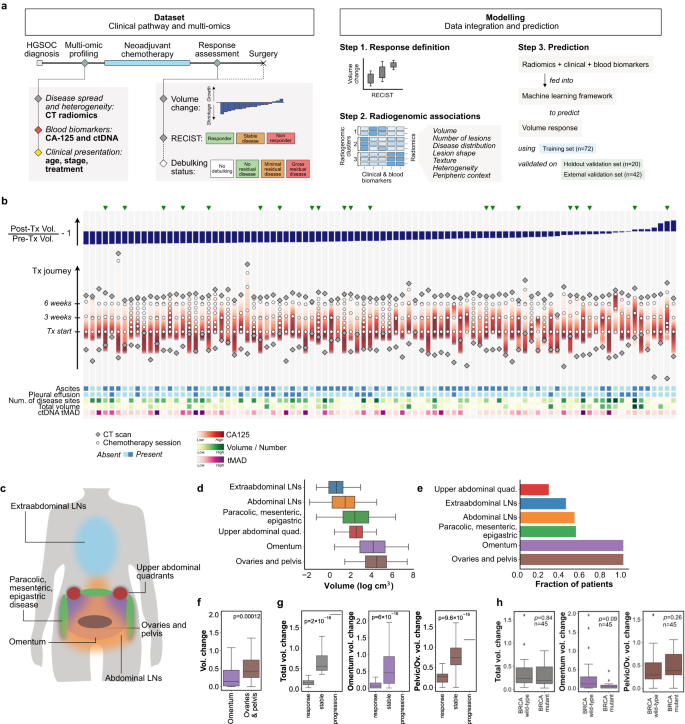 Fig. 1: Structure of the study and main characteristics of the training cohort.