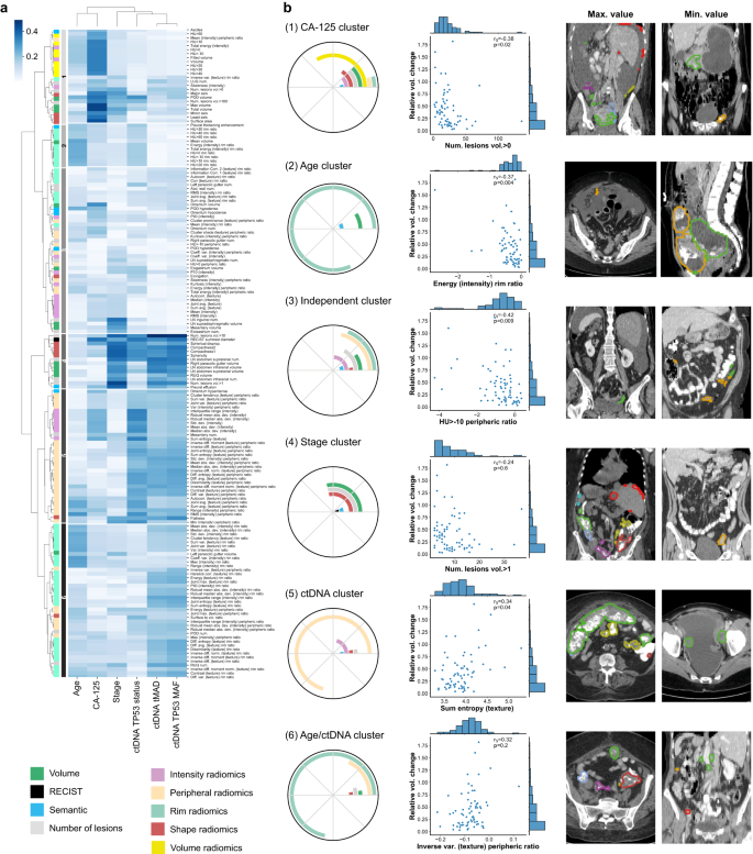 Fig. 2: Analysis of the correlations between radiomics and non-imaging features.
