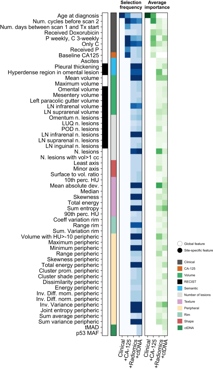 Fig. 5: Feature importances in the fully integrated IRON radiogenomic model.