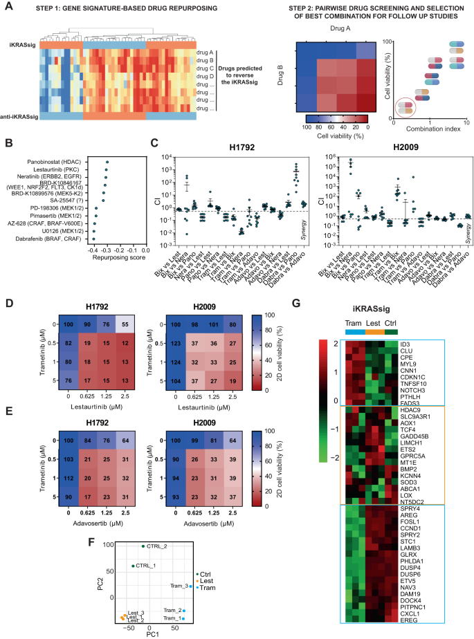 Fig. 1: Synergistic dual combinations for mutant KRAS lung cancer obtained through a drug repurposing-based strategy.