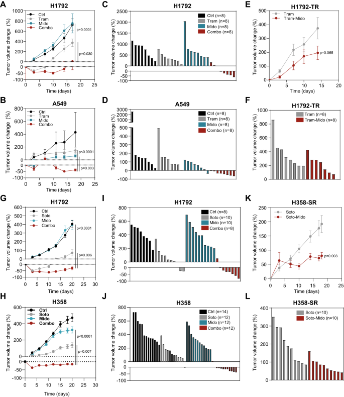Fig. 5: Midostaurin-based drug combinations show antitumor effects on treatment naïve and resistant mut KRAS LUAD.