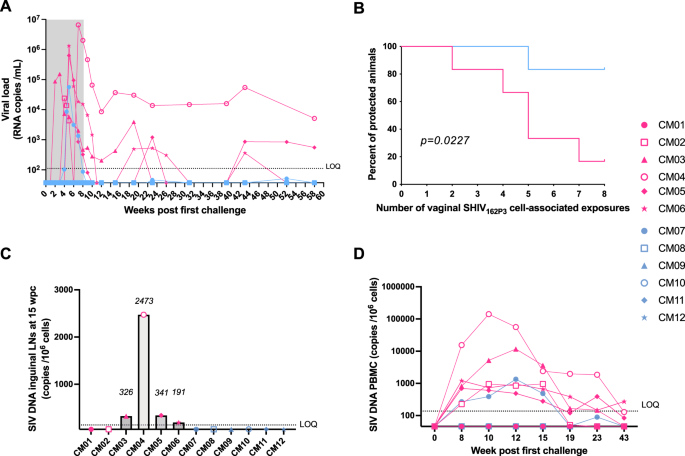 Fig. 4: Protection by a 10-1074 HEC gel during repeated vaginal SHIV162P3 cell-associated challenges.
