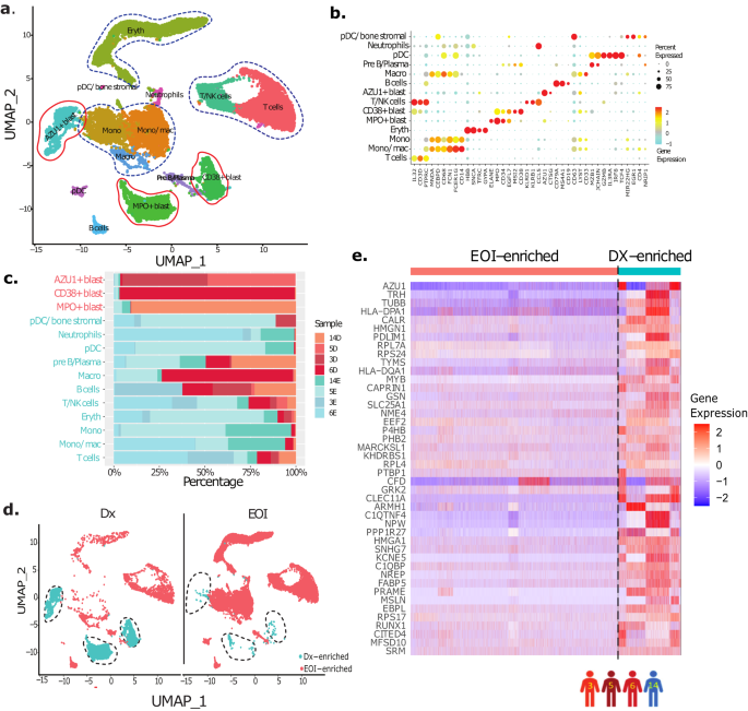 Fig. 1: Single-cell transcriptional profiling identifies heterogenous putative AML blast cell clusters.